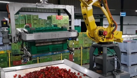 transportadoras - Sector agroindustrial