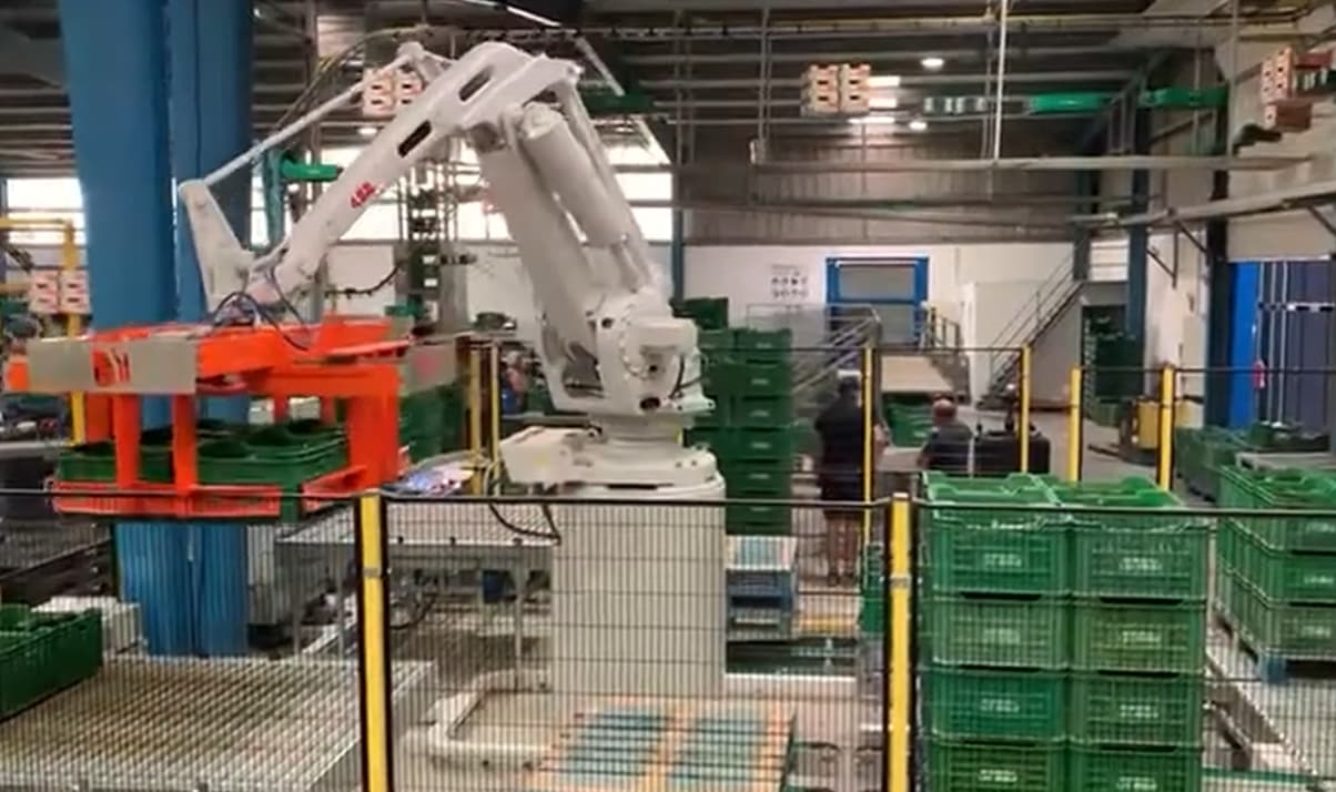 Línea de pesaje, alimentación y despaletizado de cajas llenas | Proatec