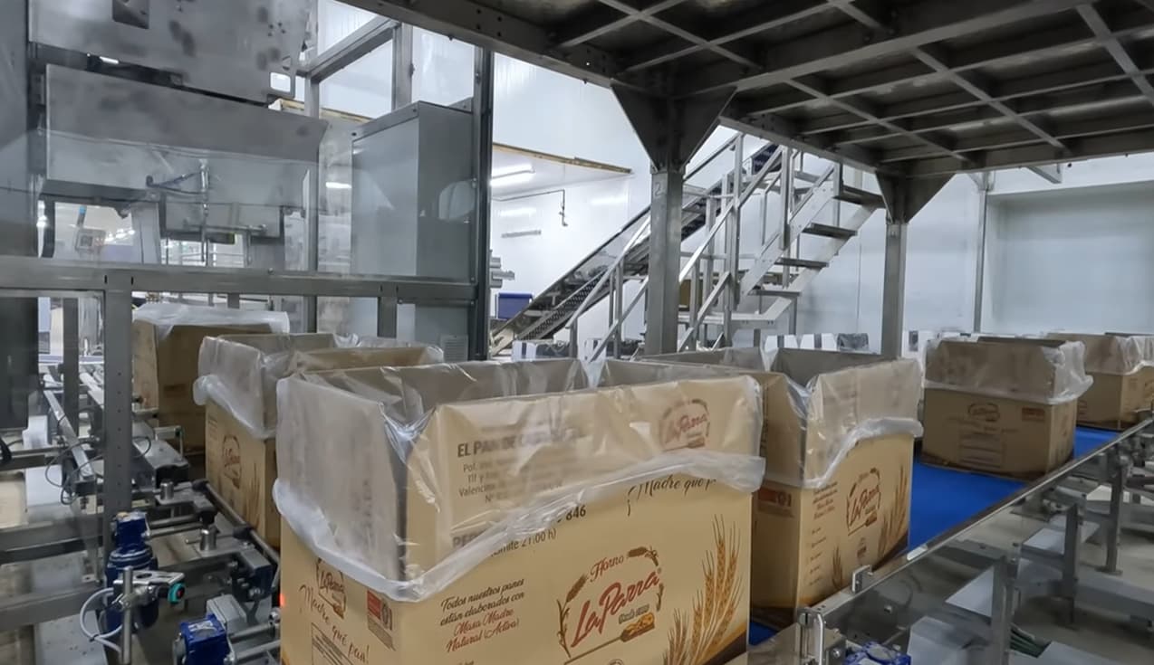 Línea de envasado con llenadora y robot de paletizado | Proatec