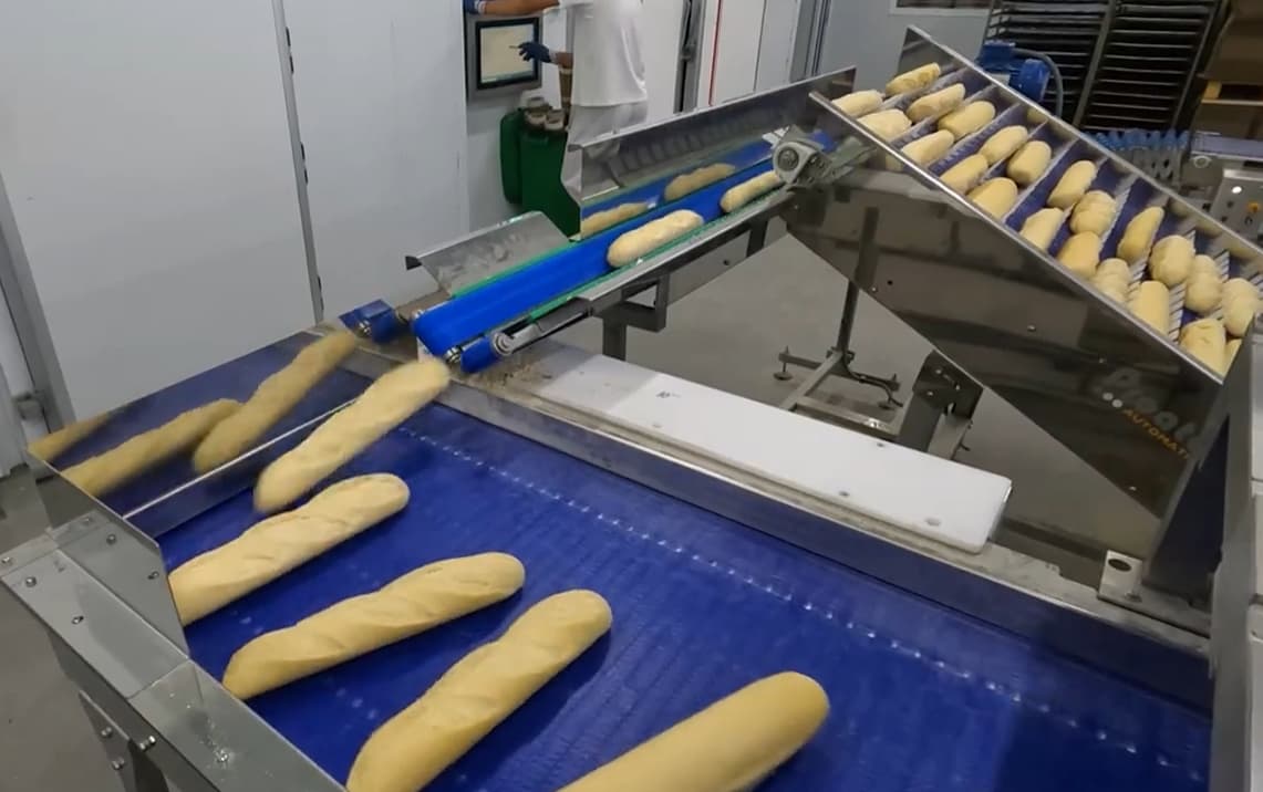 Línea de envasado con llenadora de cajas - Proatec
