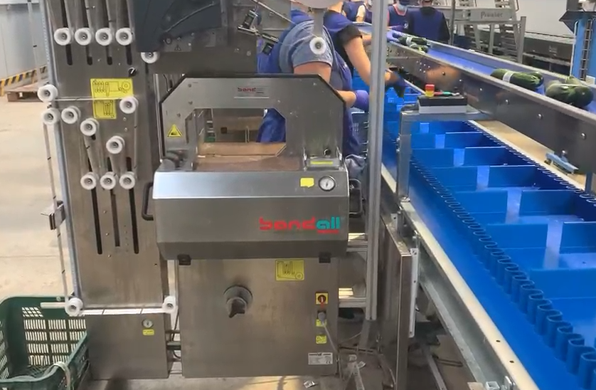 Línea de pesaje con sistema de fajado | Proatec