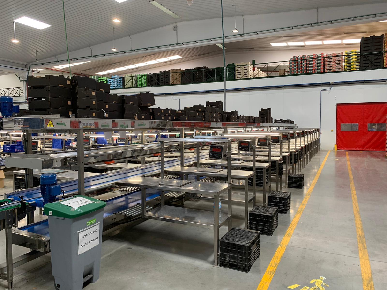 Línea de confección polivalente en acero inoxidable con volcador de palets | Proatec