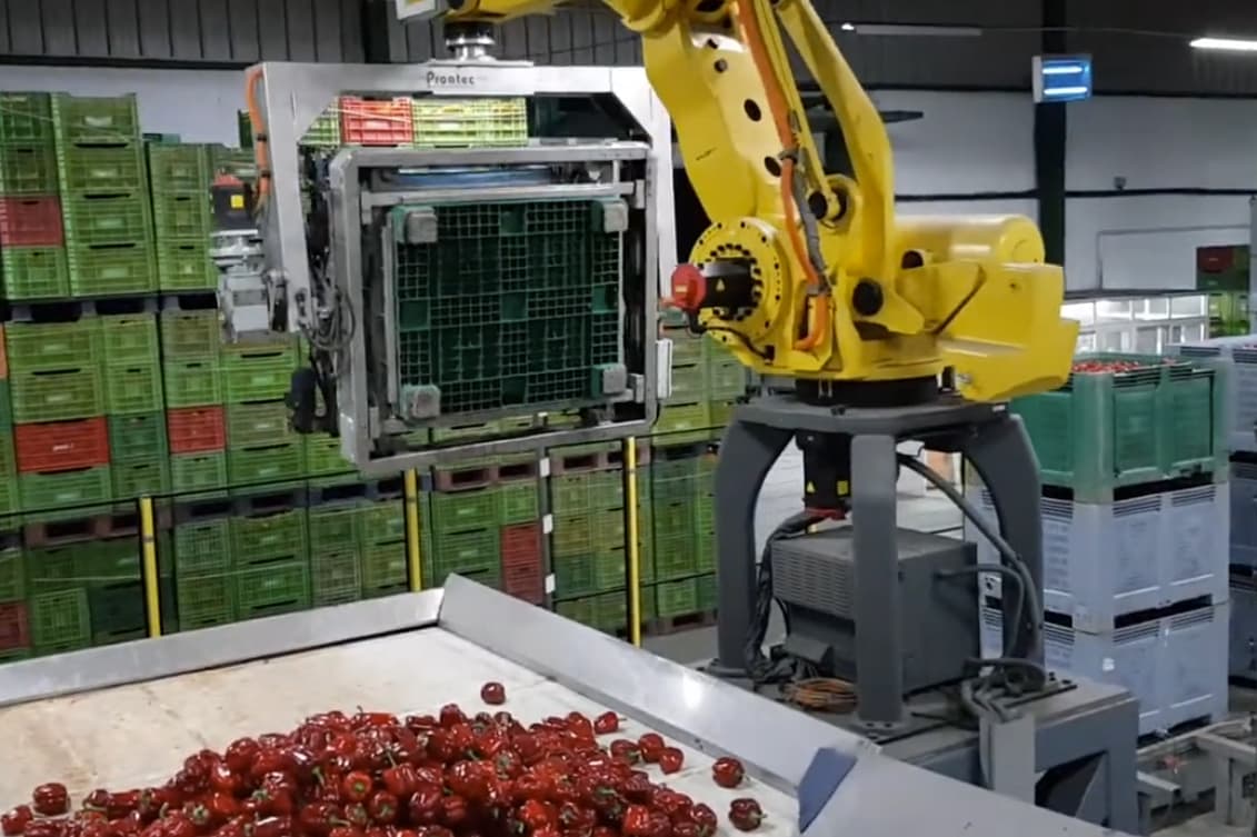 Robot despaletizador y volcador de cajas y bins - Proatec